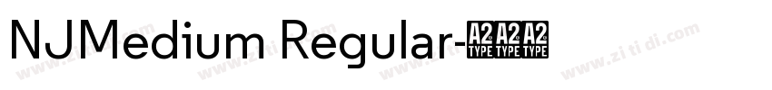 NJMedium Regular字体转换